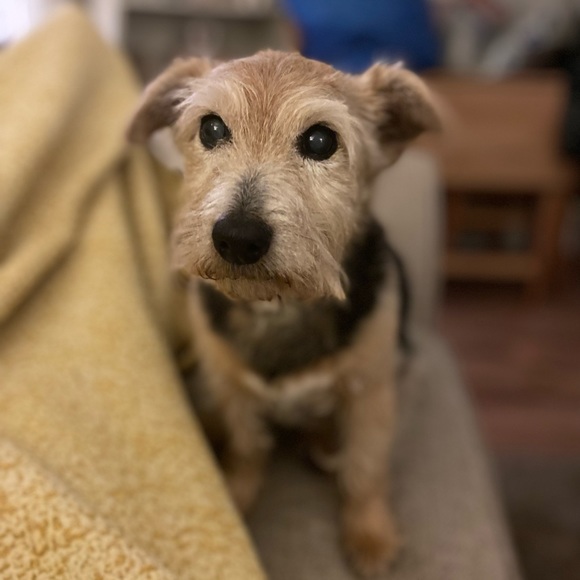 Meet your Posher, Charlotte - Picture 1 of 1